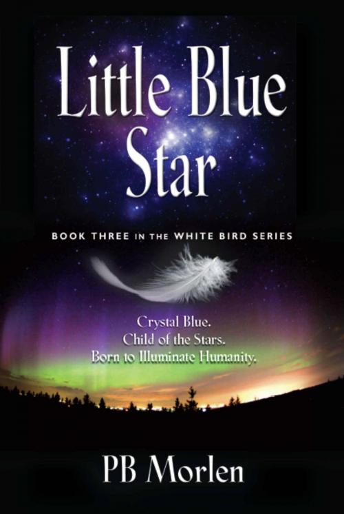 Cover of the book Little Blue Star - Book Three in the White Bird Series by PB Morlen, BookLocker.com, Inc.