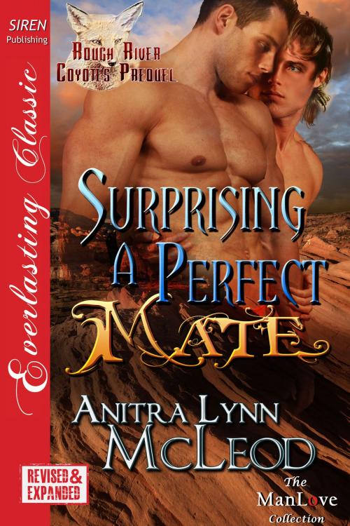 Cover of the book Surprising a Perfect Mate by Anitra Lynn McLeod, Siren-BookStrand