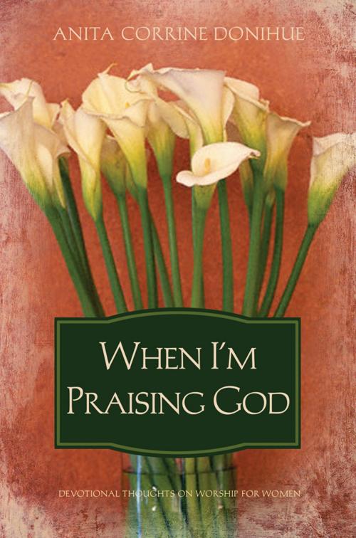 Cover of the book When I'm Praising God by Anita C. Donihue, Barbour Publishing, Inc.