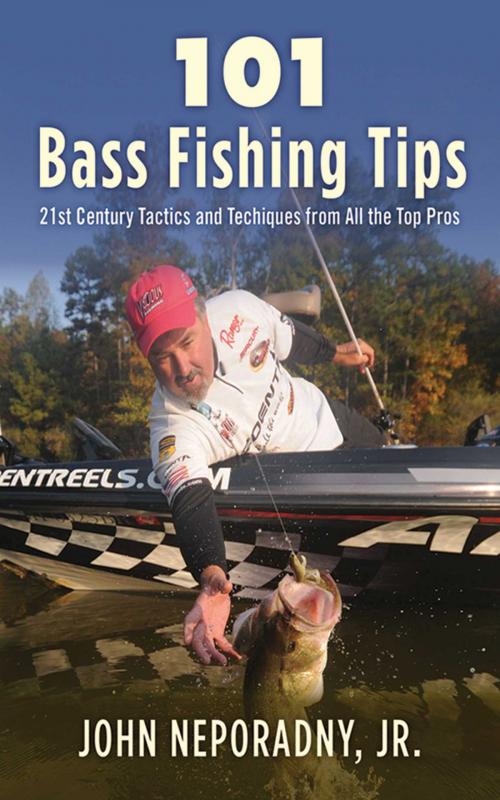 Cover of the book 101 Bass Fishing Tips by John Neporadny, Skyhorse