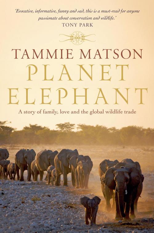 Cover of the book Planet Elephant by Tammie Matson, Pan Macmillan Australia