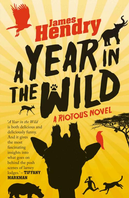 Cover of the book A Year in the Wild by James Hendry, Pan Macmillan SA