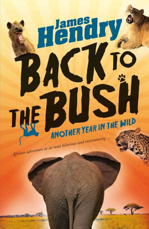 Cover of the book Back to the Bush by James Hendry, Pan Macmillan SA