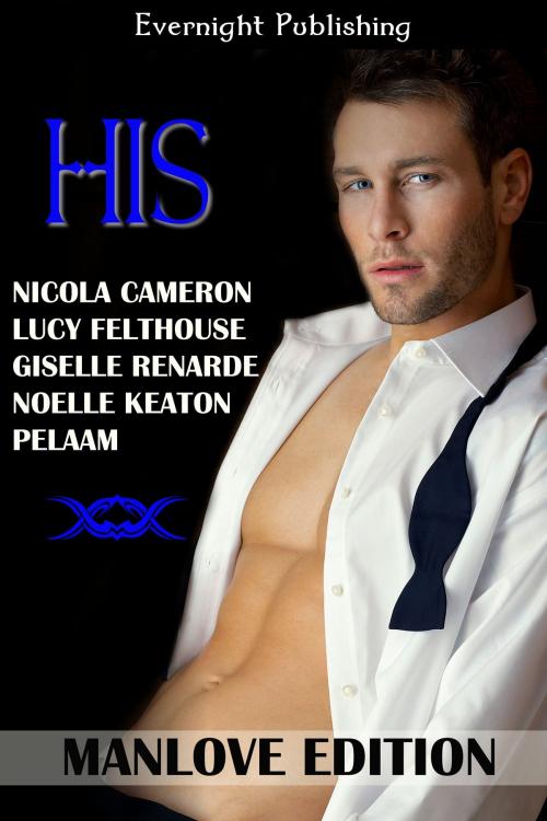 Cover of the book HIS: Manlove Edition by Nicola Cameron, Evernight Publishing