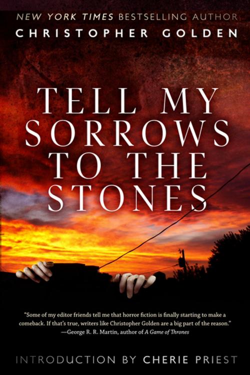 Cover of the book Tell My Sorrows To The Stones by Christopher Golden, ChiZine Publications