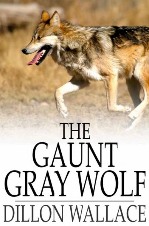 Cover of the book The Gaunt Gray Wolf by Dillon Wallace, The Floating Press