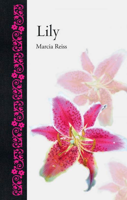 Cover of the book Lily by Marcia Reiss, Reaktion Books