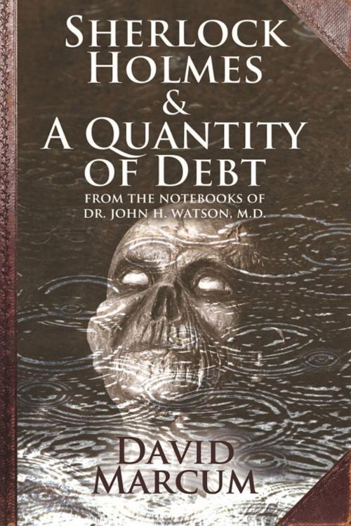 Cover of the book Sherlock Holmes and A Quantity of Debt by David Marcum, Andrews UK