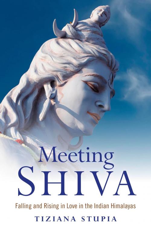 Cover of the book Meeting Shiva by Tiziana Stupia, John Hunt Publishing