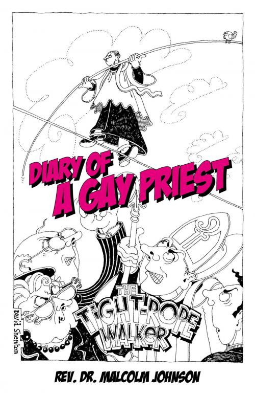 Cover of the book Diary Of A Gay Priest by M. Malcolm D. Johnson, John Hunt Publishing