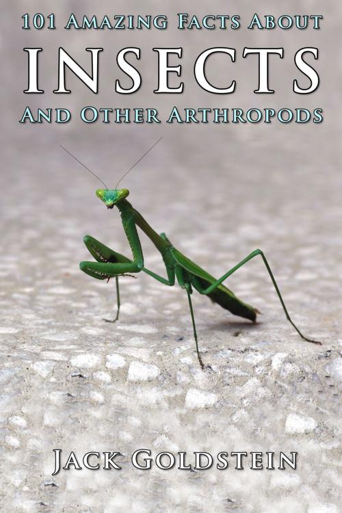 Cover of the book 101 Amazing Facts About Insects by Jack Goldstein, Andrews UK