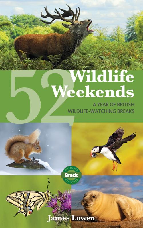 Cover of the book 52 Wildlife Weekends: A Year of British Wildlife-Watching Breaks by James Lowen, Bradt Travel Guides Ltd