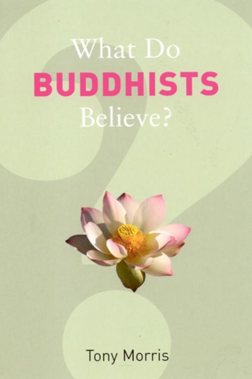 Cover of the book What Do Buddhists Believe? by Tony Morris, Granta Publications