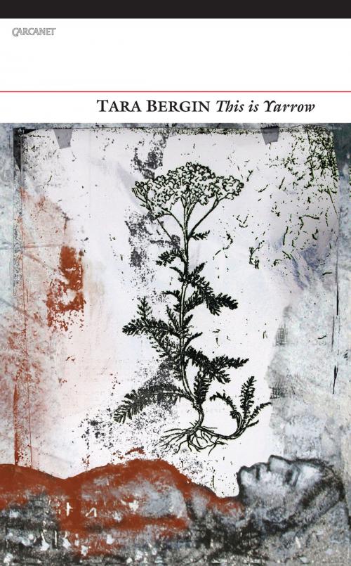 Cover of the book This Is Yarrow by Tara Bergin, Carcanet Press Ltd.