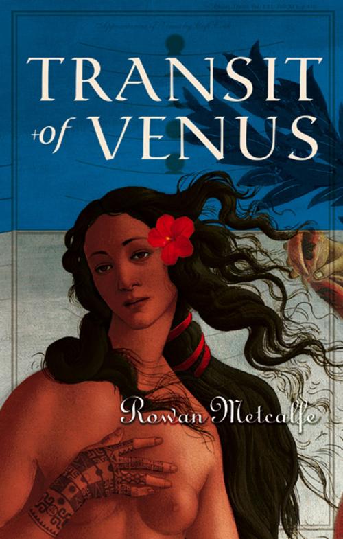 Cover of the book Transit of Venus by Rowan Metcalfe, Huia (NZ) Ltd
