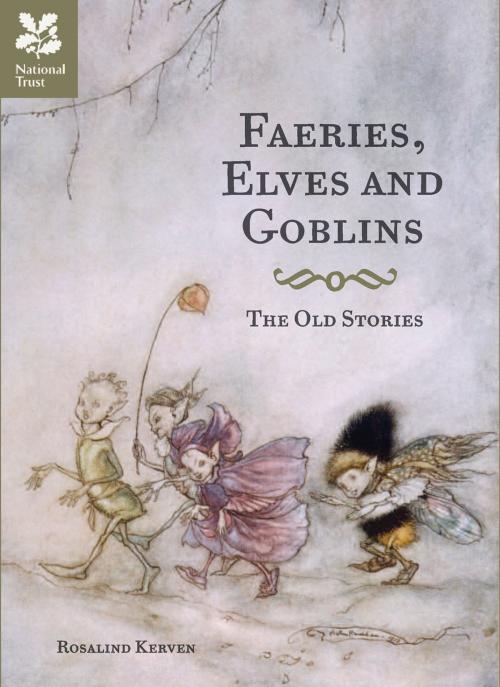 Cover of the book Faeries, Elves and Goblins by Rosalind Kerven, Pavilion Books
