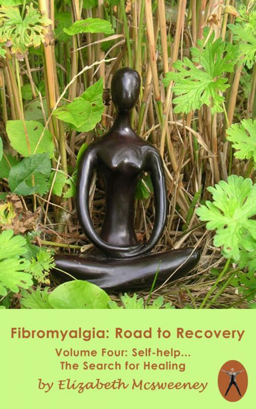Cover of the book FIBROMYALGIA: Road to Recovery, VOLUME 4 by Elizabeth McSweeney, The Treasure Tower Phenomenon