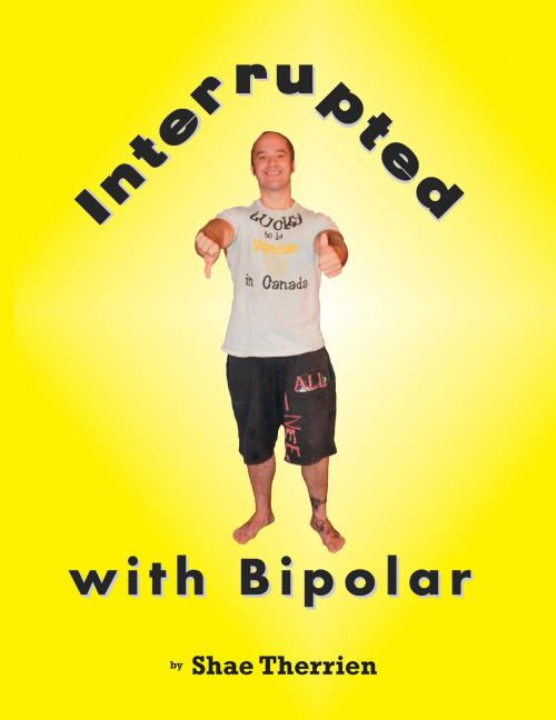 Cover of the book Interrupted with Bipolar by Shae Therrien, DriverWorks ink