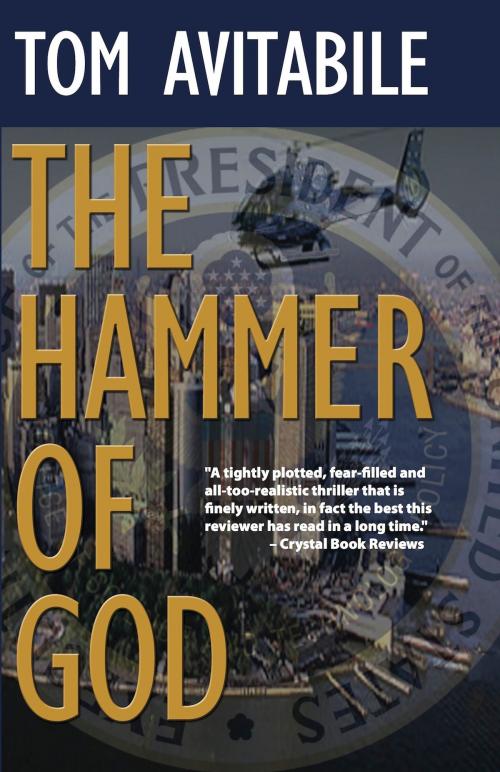 Cover of the book The Hammer of God by Tom Avitabile, Fiction Studio Books