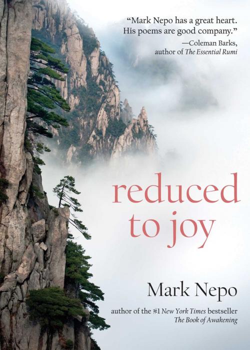 Cover of the book Reduced to Joy by Mark Nepo, Viva Editions