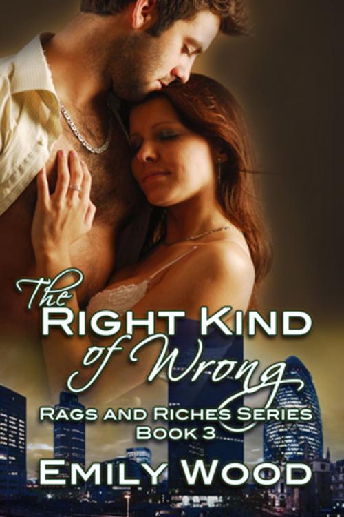Cover of the book The Right Kind of Wrong by Emily Wood, Beachwalk Press, Inc.