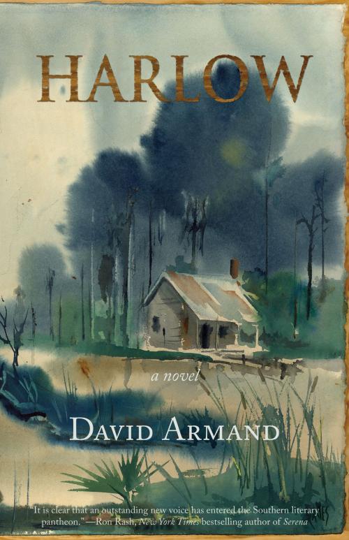 Cover of the book Harlow by Mr. David Armand, Texas Review Press