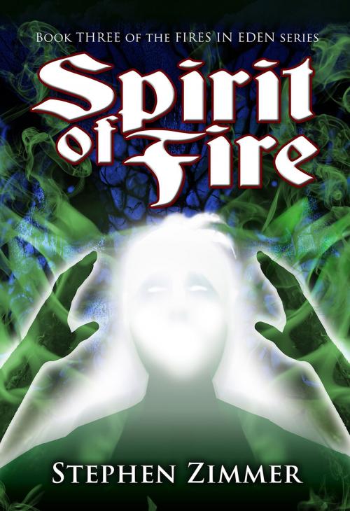 Cover of the book Spirit of Fire by Stephen Zimmer, Seventh Star Press