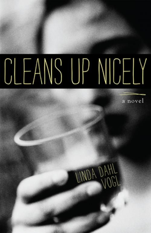 Cover of the book Cleans Up Nicely by Linda Dahl Vogl, She Writes Press