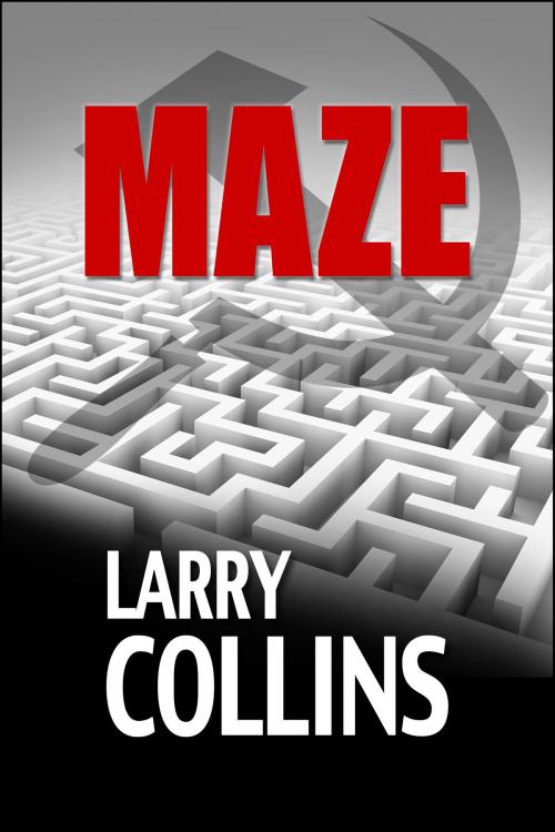 Cover of the book Maze by Larry Collins, Renaissance Literary & Talent in collaboration with the Author