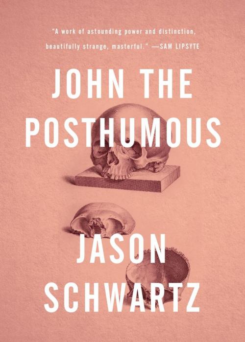 Cover of the book John the Posthumous by Jason Schwartz, OR Books