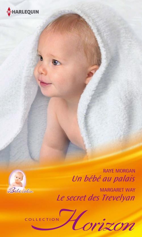 Cover of the book Un bébé au palais - Le secret des Trevelyan by Raye Morgan, Margaret Way, Harlequin