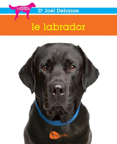 Cover of the book Le labrador by Joël Dehasse, La Griffe