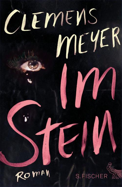 Cover of the book Im Stein by Clemens Meyer, FISCHER E-Books