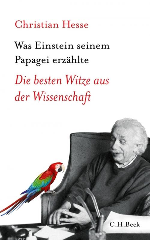 Cover of the book Was Einstein seinem Papagei erzählte by Christian Hesse, C.H.Beck