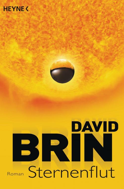 Cover of the book Sternenflut by David Brin, Heyne Verlag