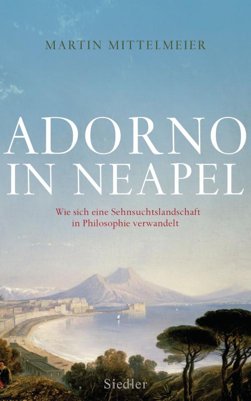 Cover of the book Adorno in Neapel by Martin Mittelmeier, Siedler Verlag