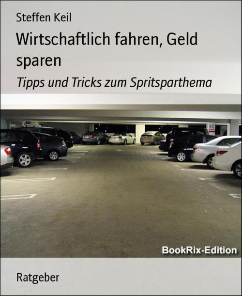 Cover of the book Wirtschaftlich fahren, Geld sparen by Steffen Keil, BookRix