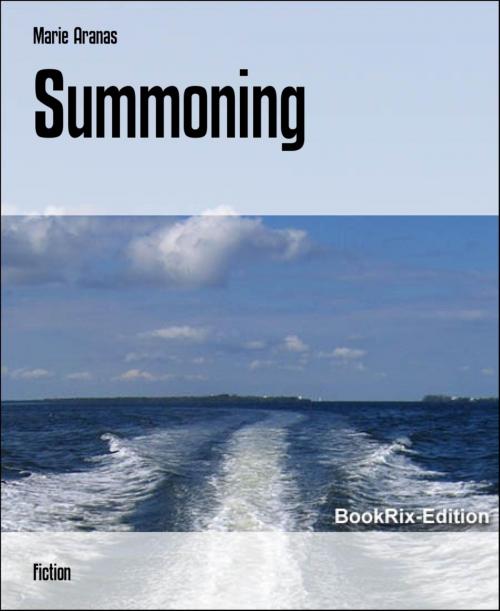 Cover of the book Summoning by Marie Aranas, BookRix