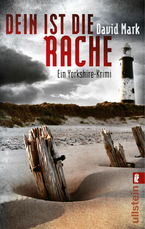 Cover of the book Dein ist die Rache. McAvoys zweiter Fall by David Mark, Ullstein Ebooks