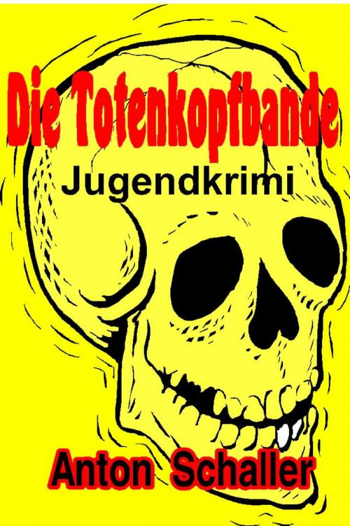 Cover of the book Die Totenkopfbande by Anton Schaller, neobooks