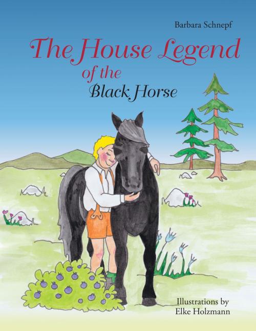 Cover of the book The House Legend of the Black Horse by Barbara Schnepf, Books on Demand