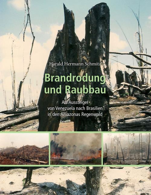 Cover of the book Brandrodung and Raubbau by , Books on Demand
