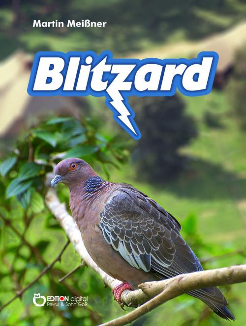 Cover of the book Blitzard by Martin Meißner, EDITION digital