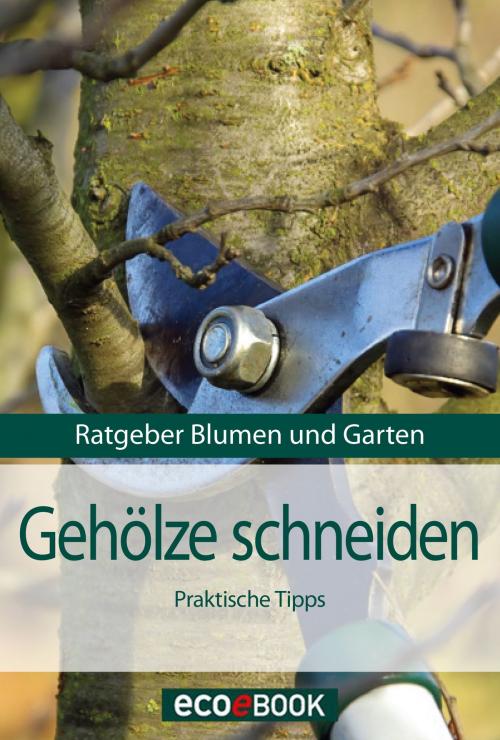 Cover of the book Gehölze schneiden by Red. Serges Verlag, Serges Medien