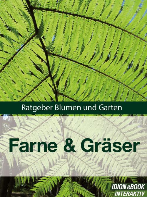 Cover of the book Farne & Gräser by Red. Serges Verlag, Serges Medien