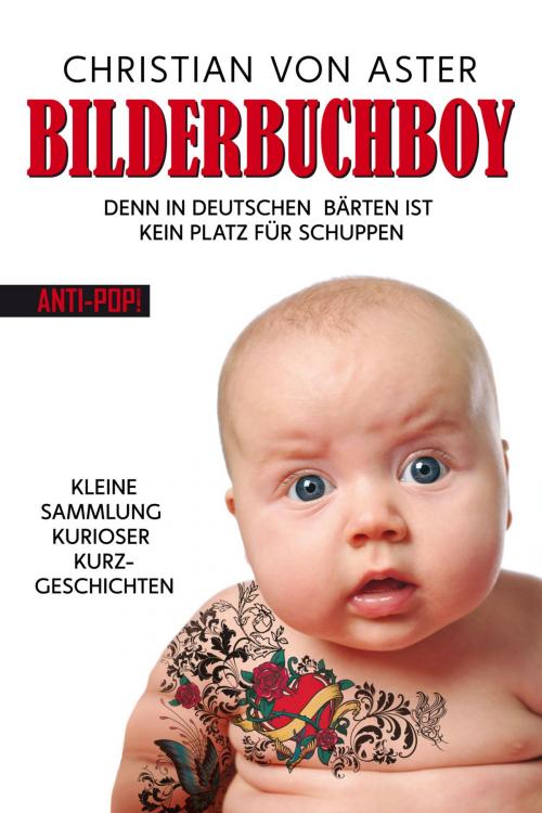 Cover of the book Bilderbuchboy by Christian von Aster, UBOOKS