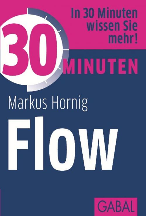 Cover of the book 30 Minuten Flow by Markus Hornig, GABAL Verlag