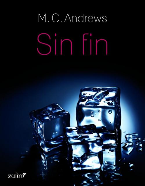 Cover of the book Sin fin by M. C. Andrews, Grupo Planeta