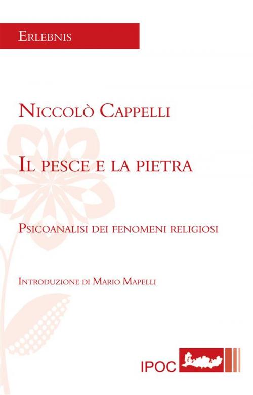 Cover of the book Il pesce e la pietra by Niccolò Cappelli, IPOC Italian Path of Culture