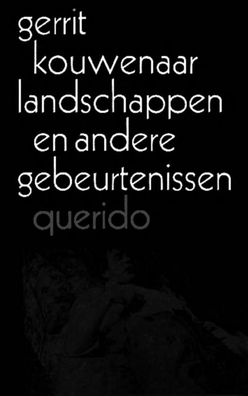 Cover of the book Landschappen en andere gebeurtenissen by Gerrit Kouwenaar, Singel Uitgeverijen
